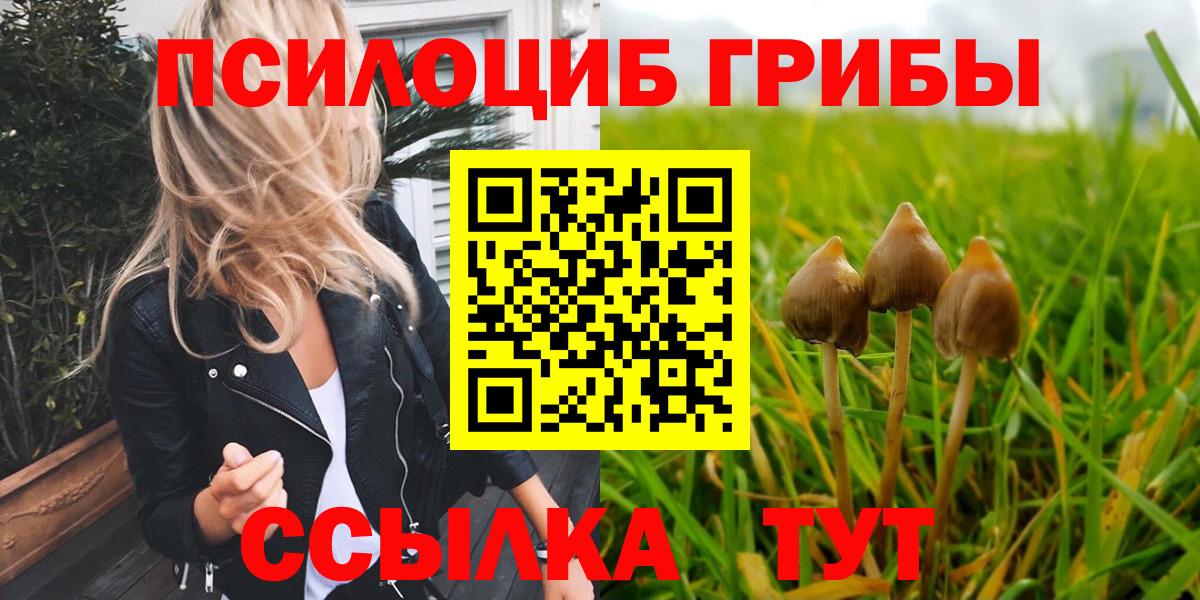 Галлюциногенные грибы мицелий  Псилоцибиновые грибы Magic Shrooms  Южноуральск 