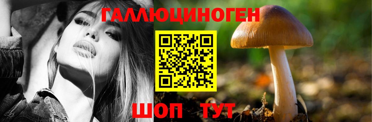 Псилоцибиновые грибы прущие грибы Южноуральск